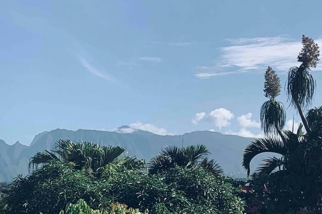 La Caze AmoreMiEve pour un séjour cozy à St Pierre Saint Pierre Esterno foto