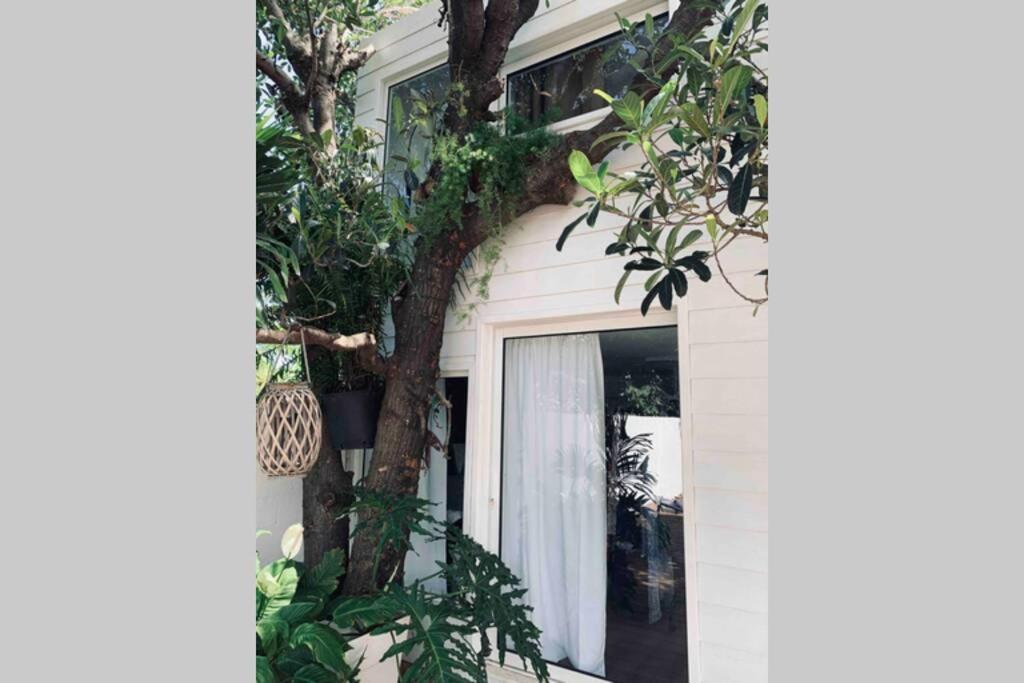 La Caze AmoreMiEve pour un séjour cozy à St Pierre Saint Pierre Esterno foto
