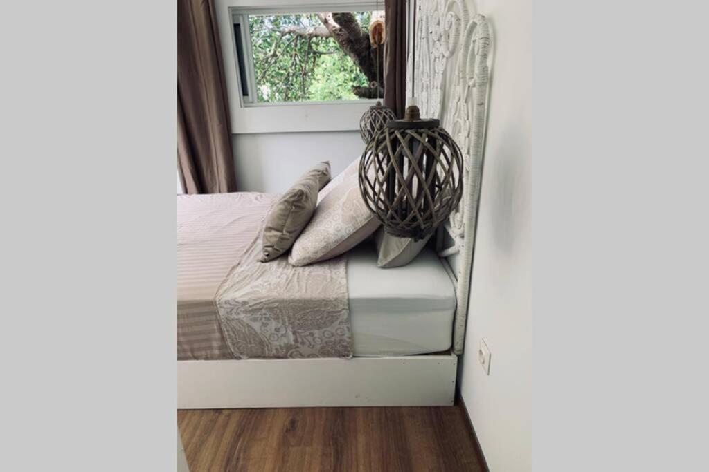 La Caze AmoreMiEve pour un séjour cozy à St Pierre Saint Pierre Esterno foto